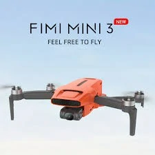 Company name